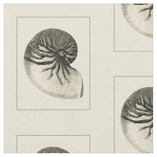 ヴィンテージの白黒コンシュの貝 ファブリック (クローズアップ)