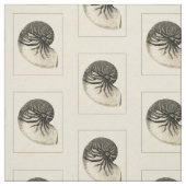 ヴィンテージの白黒コンシュの貝 ファブリック (見本)