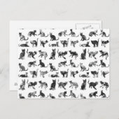 ヴィンテージの白黒フローラ猫パターン ポストカード (正面/裏面)