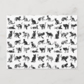 ヴィンテージの白黒フローラ猫パターン ポストカード (正面)