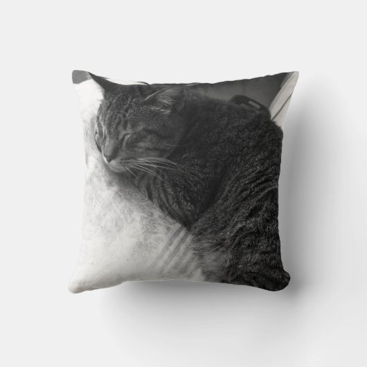 ヴィンテージの睡眠猫の写真|の装飾用クッション クッション (裏面)