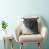 ヴィンテージの睡眠猫の写真|の装飾用クッション クッション (椅子)