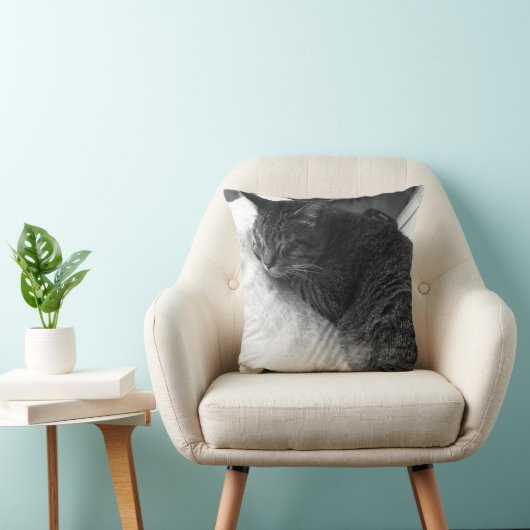ヴィンテージの睡眠猫の写真|の装飾用クッション クッション (椅子)