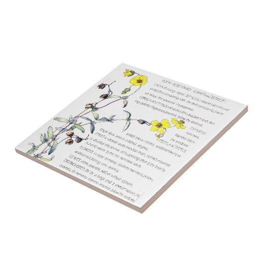 ヴィンテージの石バラの野生の花によってはタイルが開花します タイル (側面)