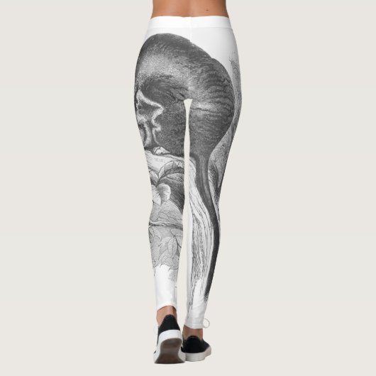 ヴィンテージの砂糖のグライダーのイラストレーションのレギング レギンス (裏面)