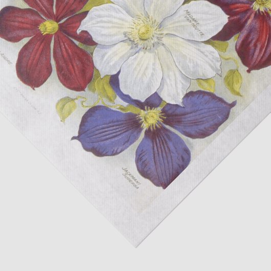 ヴィンテージの種のパケットに着想を得たデコパージュ 薄葉紙 (詳細)