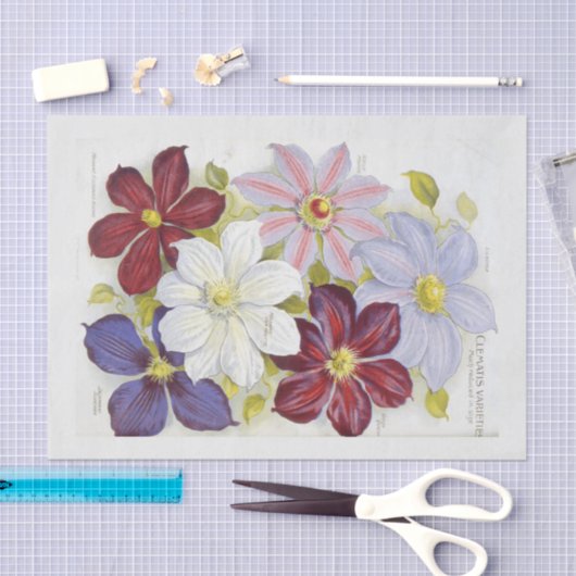 ヴィンテージの種のパケットに着想を得たデコパージュ 薄葉紙 (クラフト)