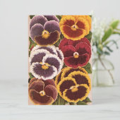 ヴィンテージの種パケットラベル、庭のパンジー花 (スタンド正面)