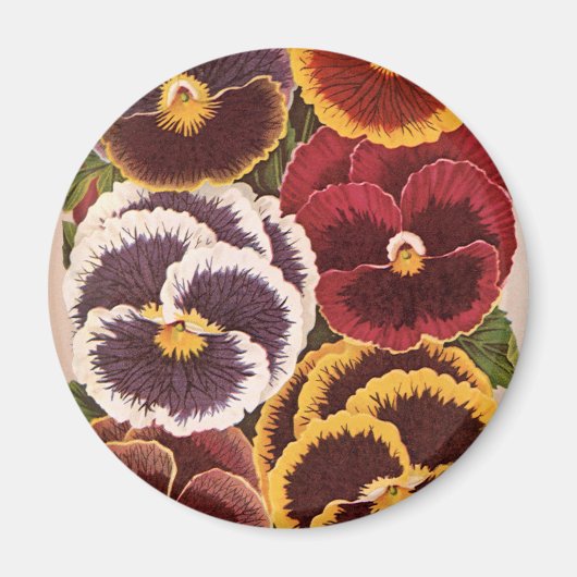 ヴィンテージの種パケットラベル、庭のパンジー花 マグネット (正面)