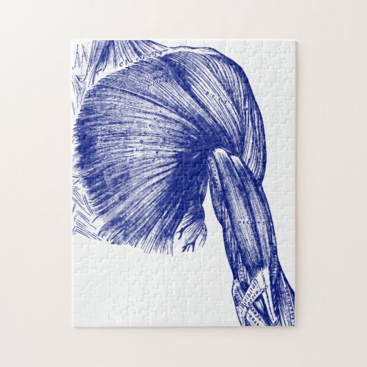 ヴィンテージの箱の人間の解剖学筋肉 ジグソーパズル (縦)