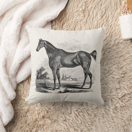 ヴィンテージの純血種の馬の乗馬のパーソナライズ クッション (ブランケット)