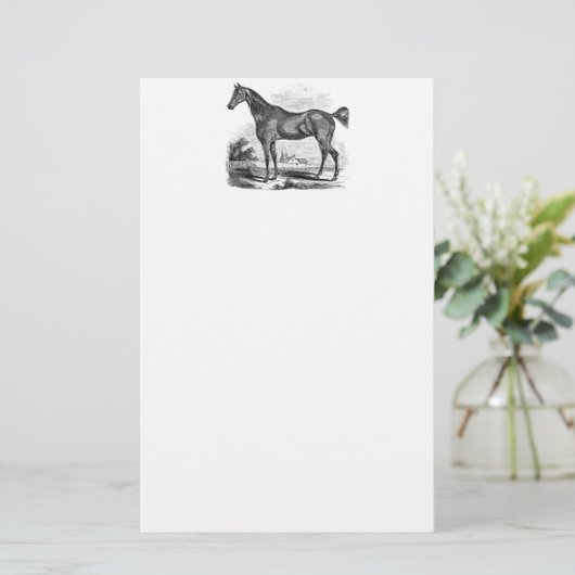 ヴィンテージの純血種の馬の乗馬のパーソナライズ 便箋 (スタンド正面)