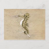 ヴィンテージの紙の背景の旧式のタツノオトシゴ ポストカード (正面)