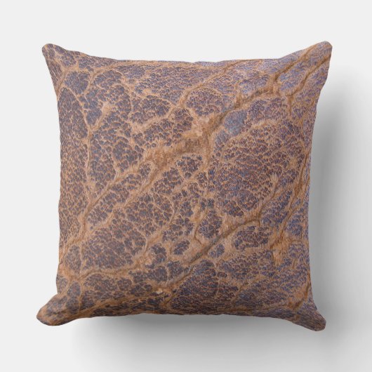 ヴィンテージの素朴な茶色の割れた革背景 クッション (正面)