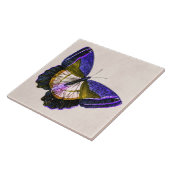 ヴィンテージの紫色および金ゴールドの蝶イラストレーション タイル (側面)