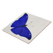 ヴィンテージの紺碧の蝶1896年のテンプレート タイル (側面)