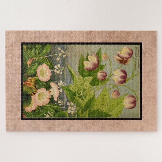 ヴィンテージの絵を描植物性オーストラリアの花 ジグソーパズル (横)