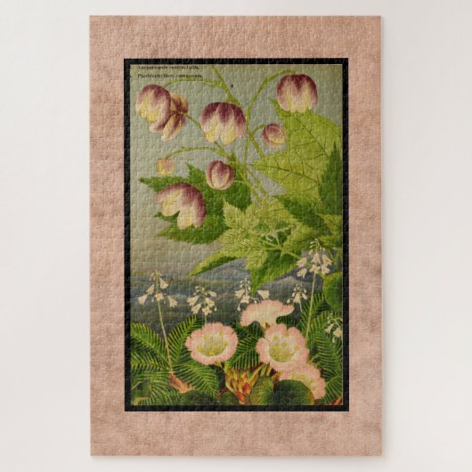 ヴィンテージの絵を描植物性オーストラリアの花 ジグソーパズル (縦)