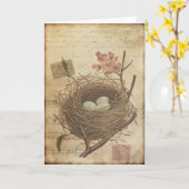 ヴィンテージの絵葉書 鳥の巣と卵 カード (黄色い花)