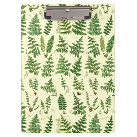 ヴィンテージの緑の葉が多い植物 クリップボード (正面)