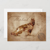 ヴィンテージの羊飼いはがき ポストカード (正面/裏面)