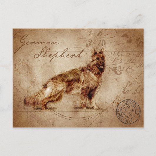 ヴィンテージの羊飼いはがき ポストカード (正面)