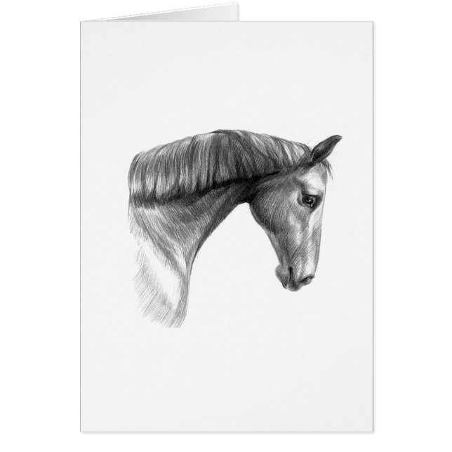 ヴィンテージの美しい穴馬 (正面)