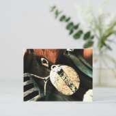 ヴィンテージの背の高い船のプーリ ポストカード (スタンド正面)