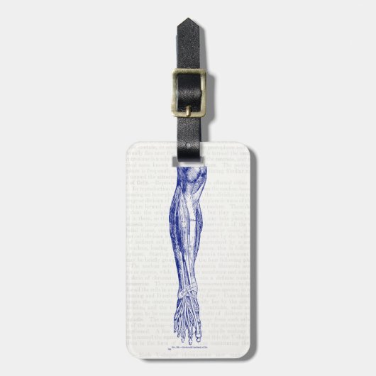ヴィンテージの脚の青色の解剖学的筋肉 ラゲッジタグ (正面縦)
