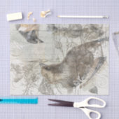 ヴィンテージの自然のコラージュのティッシュ 薄葉紙 (クラフト)