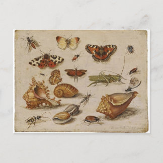 ヴィンテージの自然の郵便はがき ポストカード