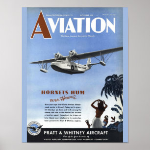 ヴィンテージの航空雑誌の飛行機カバー芸術のプリント ポスター