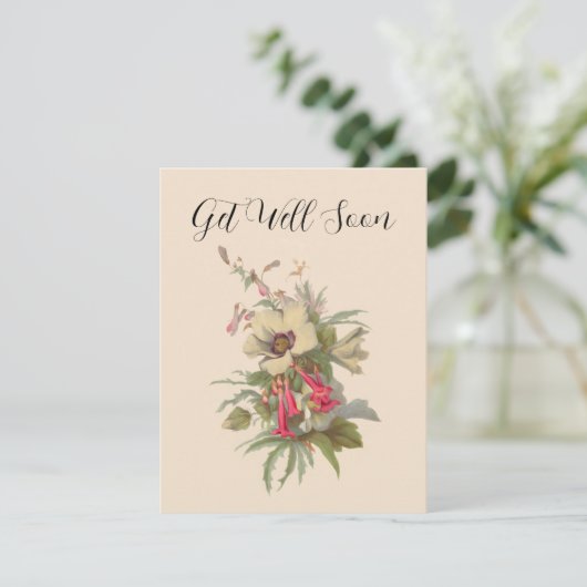 ヴィンテージの花が咲く (スタンド正面)