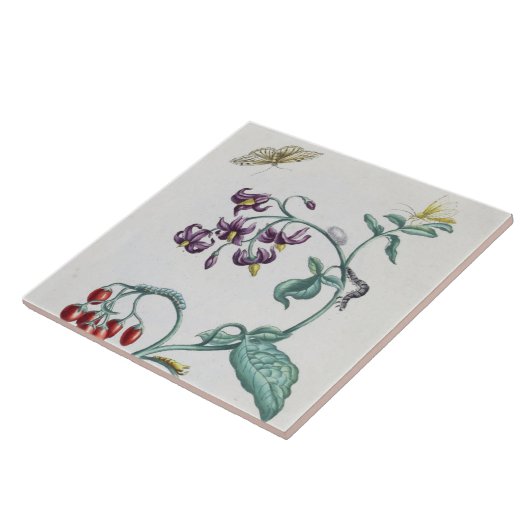 ヴィンテージの花と昆虫の装飾のクラフト タイル (側面)