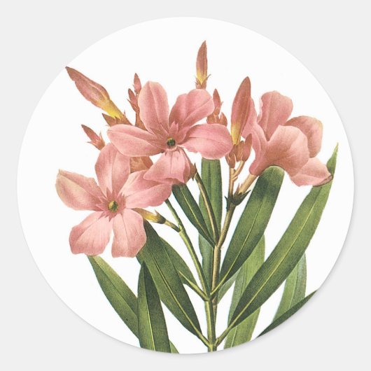 ヴィンテージの花のステッカー3 B ラウンドシール (正面)