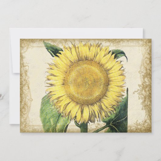 ヴィンテージの花のヒマワリ-秋の秋の結婚式 サンキューカード (裏面)