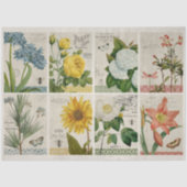 ヴィンテージの花の切り離し 薄葉紙 (正面)