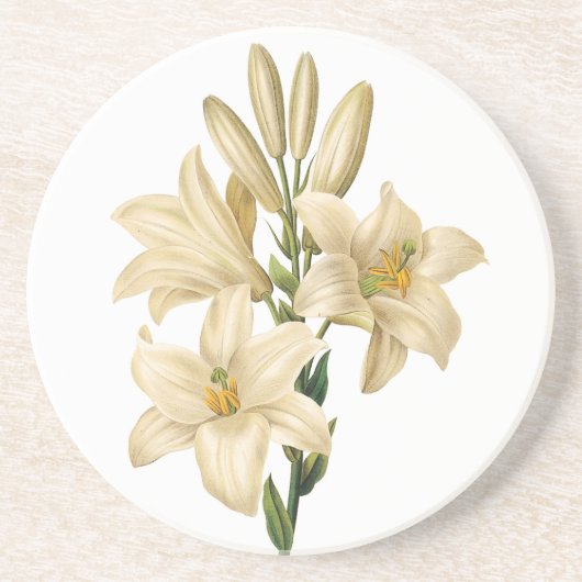 ヴィンテージの花の砂岩コースター1 コースター (正面)