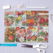 ヴィンテージの花の種の包みの庭のコラージュ 薄葉紙 (クラフト)