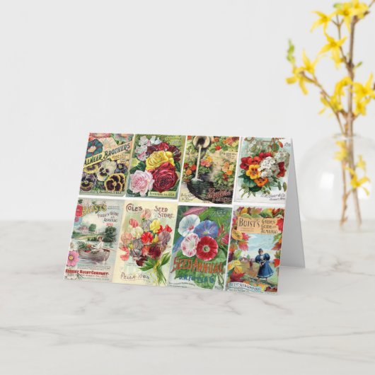 ヴィンテージの花の種はコラージュを分類します カード (黄色い花)