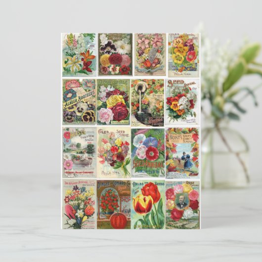 ヴィンテージの花の種はコラージュを分類します 招待状 (スタンド正面)