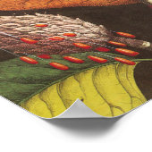 ヴィンテージの花の種付き植物 ポスター (角)