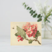 ヴィンテージの花はがき ポストカード (スタンド正面)