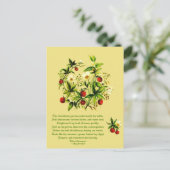 ヴィンテージの花シェークスピアのイチゴのポストカ ポストカード (スタンド正面)