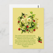 ヴィンテージの花シェークスピアのイチゴのポストカ ポストカード (正面/裏面)