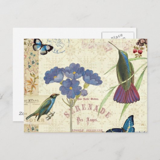 ヴィンテージの花束と鳥と蝶 ポストカード (正面/裏面)