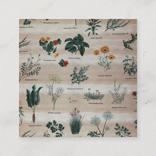 ヴィンテージの花柄の図表 スクエア名刺 (裏面)