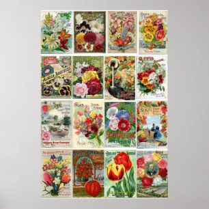 ヴィンテージの花種カタログのコラージュ ポスター