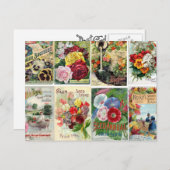 ヴィンテージの花種カタログのコラージュ ポストカード (正面/裏面)