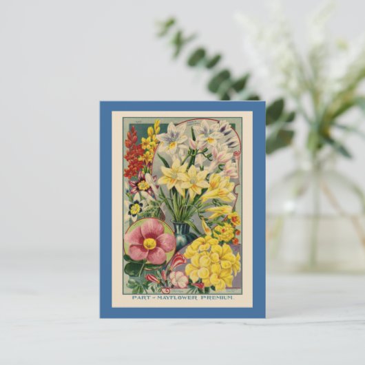 ヴィンテージの花種カタログ ポストカード (スタンド正面)